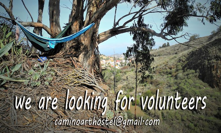 VOLUNTEERS WANTED IN SAN MATEO