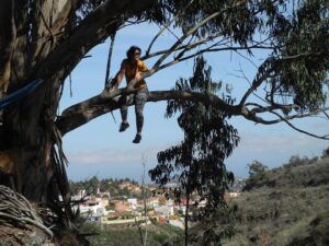 playing on old tree