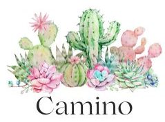 Camino is Your Path