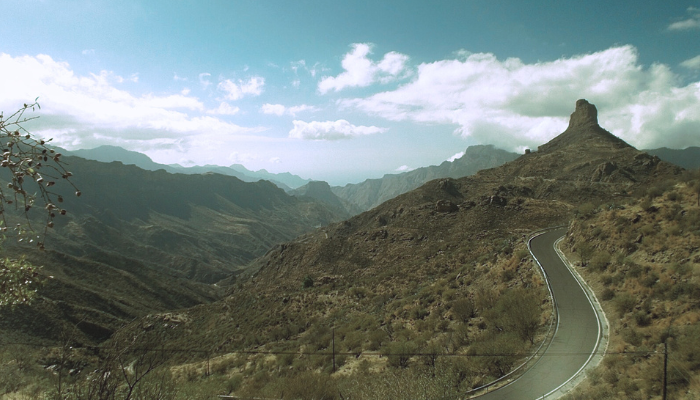 Path illustration representing your journey to discovering authentic desires