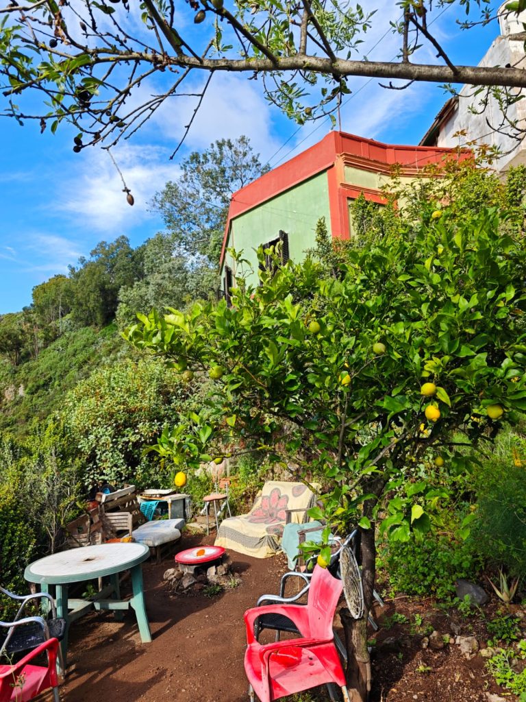are you the one? – our new gardener or handy(wo)man?